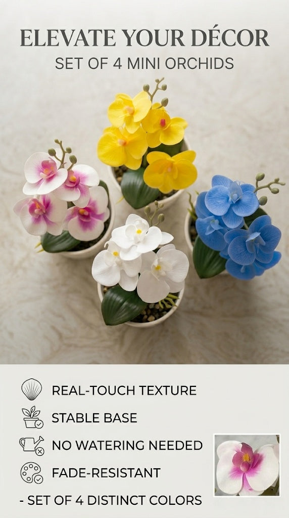 High-Quality Camellia with Pot for Home Garden Decoration Bonsai