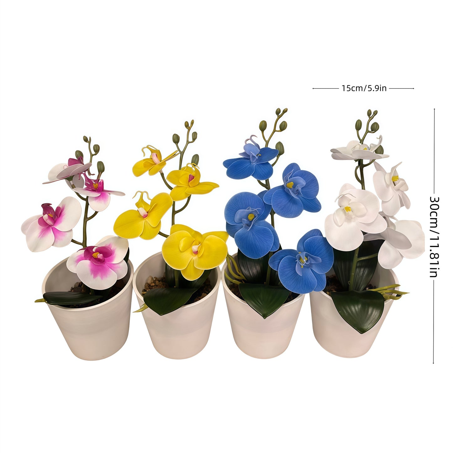High-Quality Camellia with Pot for Home Garden Decoration Bonsai