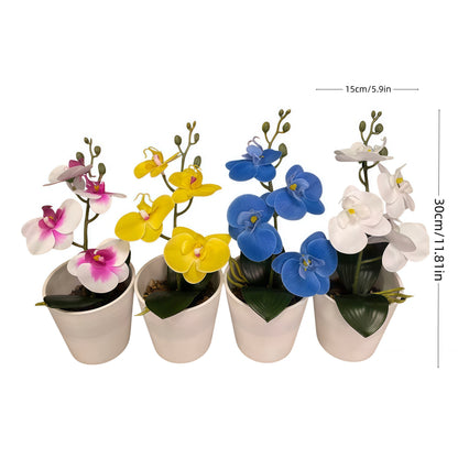 High-Quality Camellia with Pot for Home Garden Decoration Bonsai