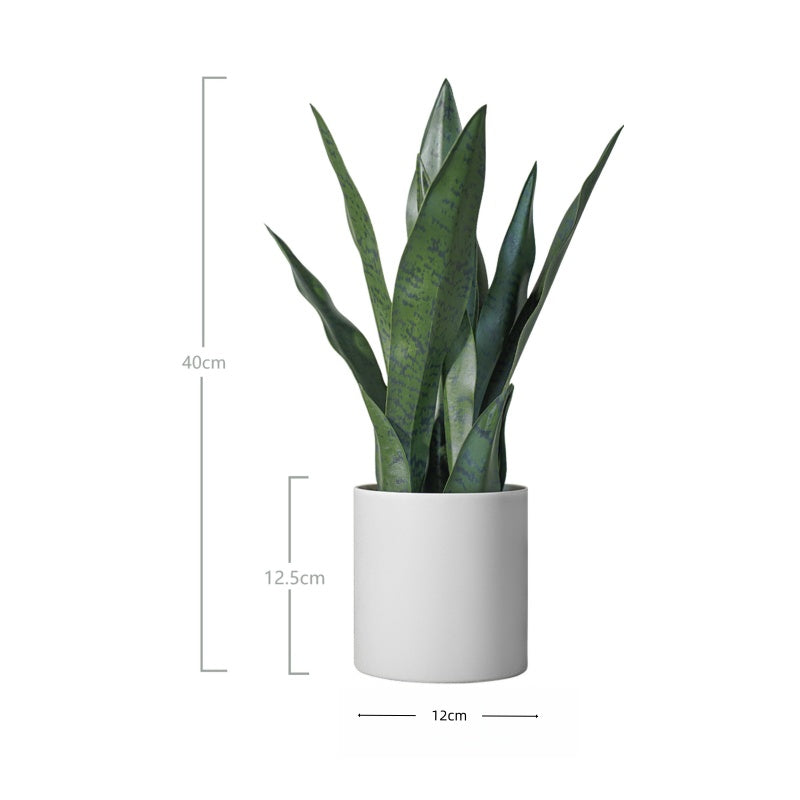 Artificial Snake Plant Potted