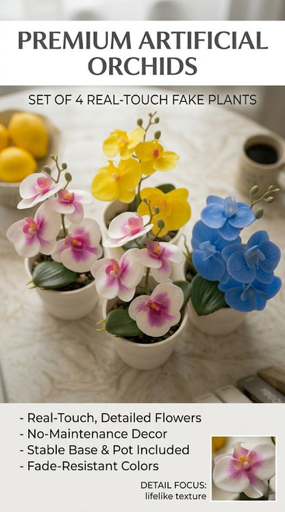 High-Quality Camellia with Pot for Home Garden Decoration Bonsai