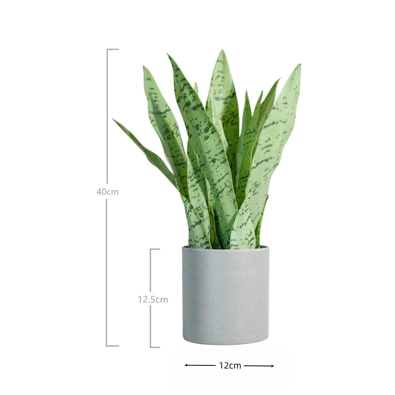 Artificial Snake Plant Potted