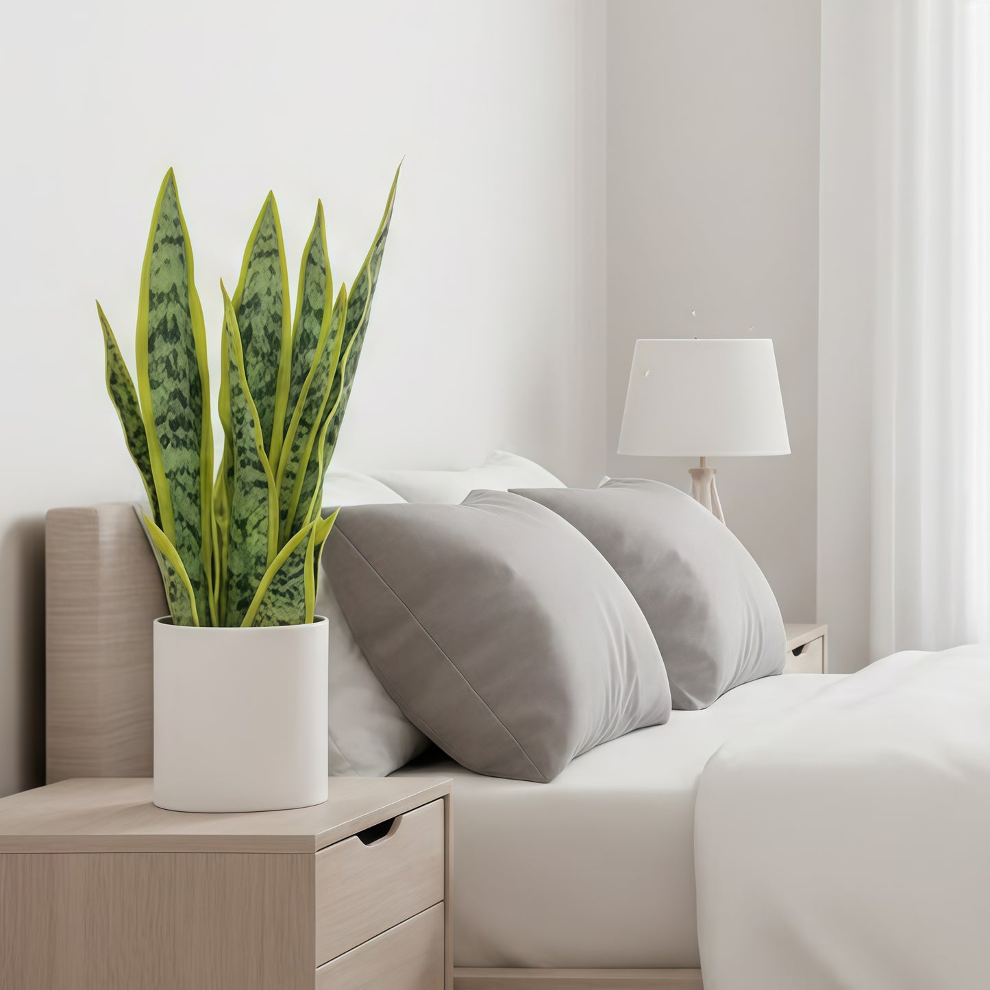 Artificial Snake Plant Potted