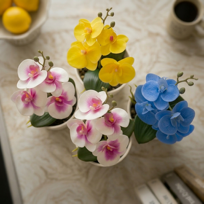 High-Quality Camellia with Pot for Home Garden Decoration Bonsai