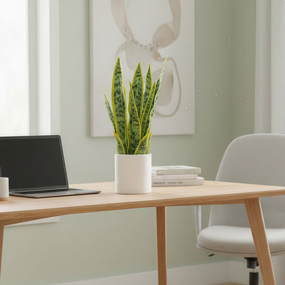 Artificial Snake Plant Potted